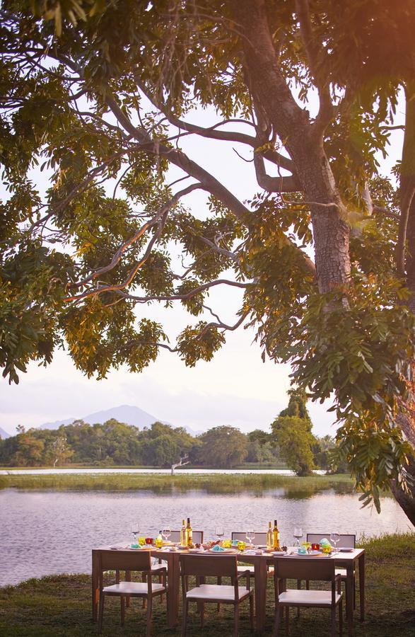 דמבולה Jetwing Lake מראה חיצוני תמונה